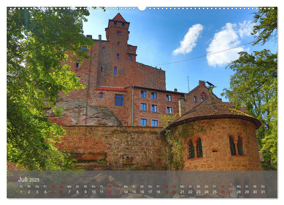 Wanderparadies Südpfalz (CALVENDO Premium Wandkalender 2025)