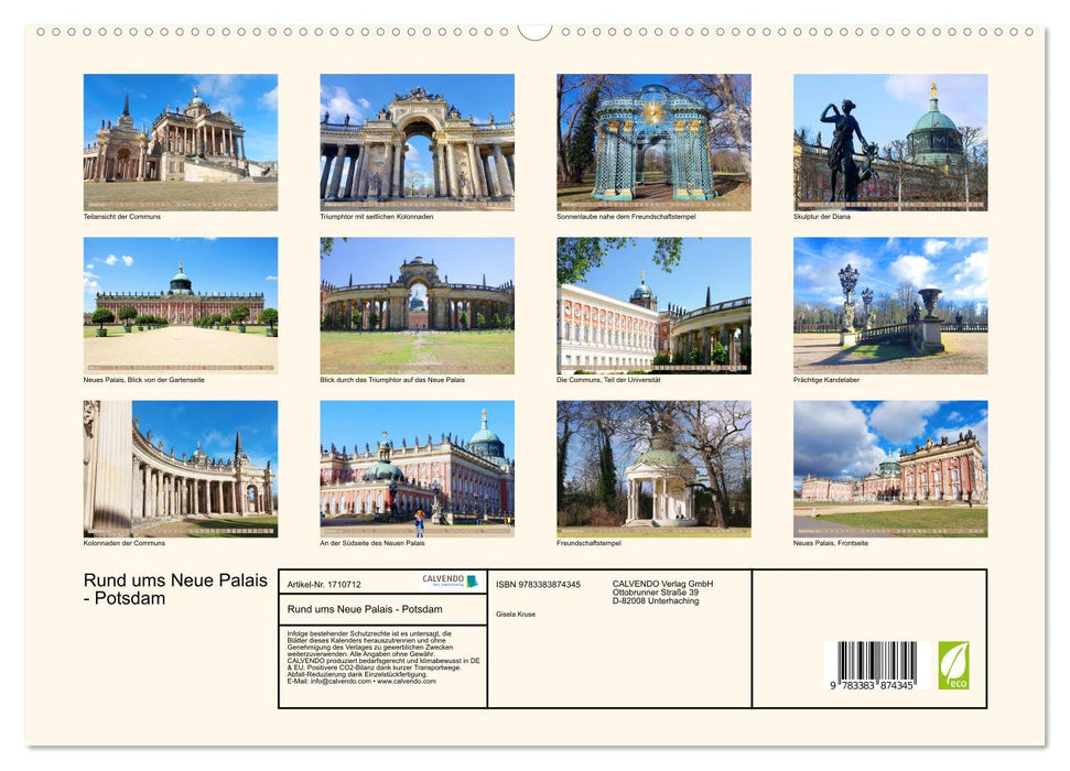 Rund ums Neue Palais - Potsdam (CALVENDO Premium Wandkalender 2025)