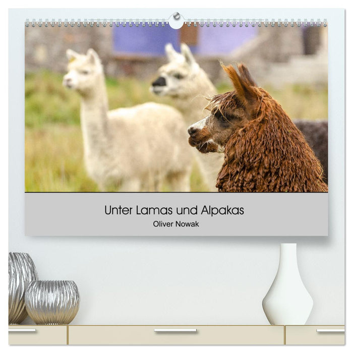 Unter Lamas und Alpakas (CALVENDO Premium Wandkalender 2025)