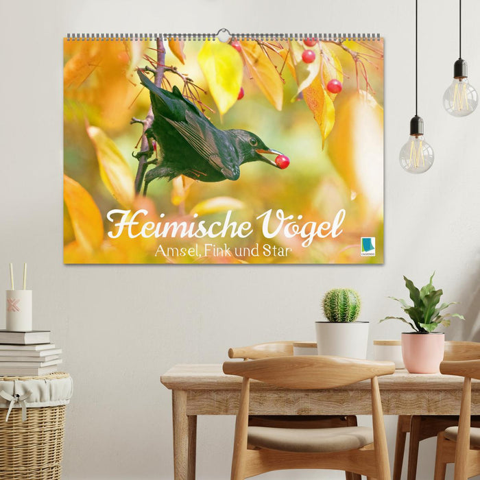 Amsel, Fink und Star: Heimische Vögel (CALVENDO Wandkalender 2025)