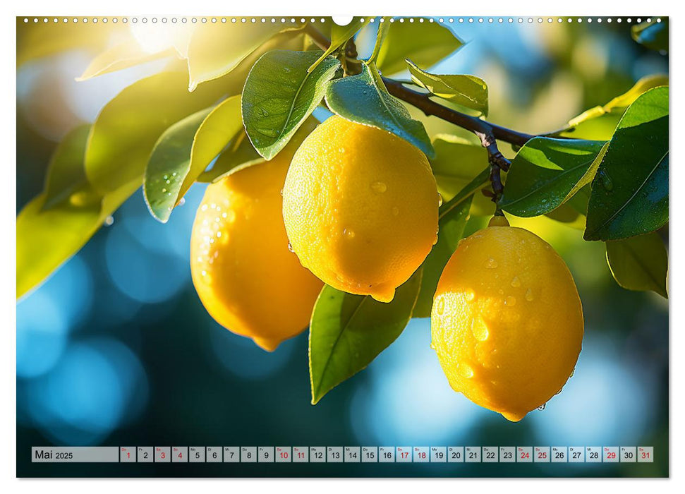 Sauer Gelb Lecker (CALVENDO Wandkalender 2025)