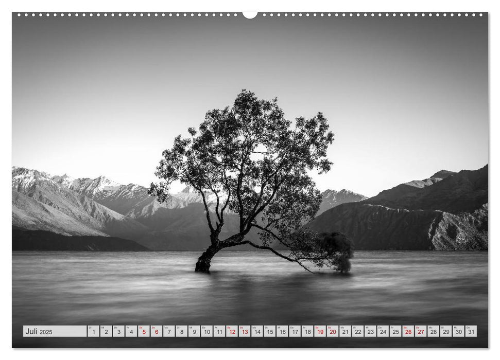 Monochrome Wonders (CALVENDO Premium Wandkalender 2025)