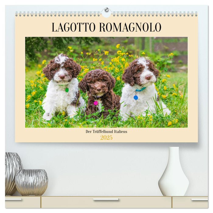 Lagotto Romagnolo - der Trüffelhund Italiens (CALVENDO Premium Wandkalender 2025)