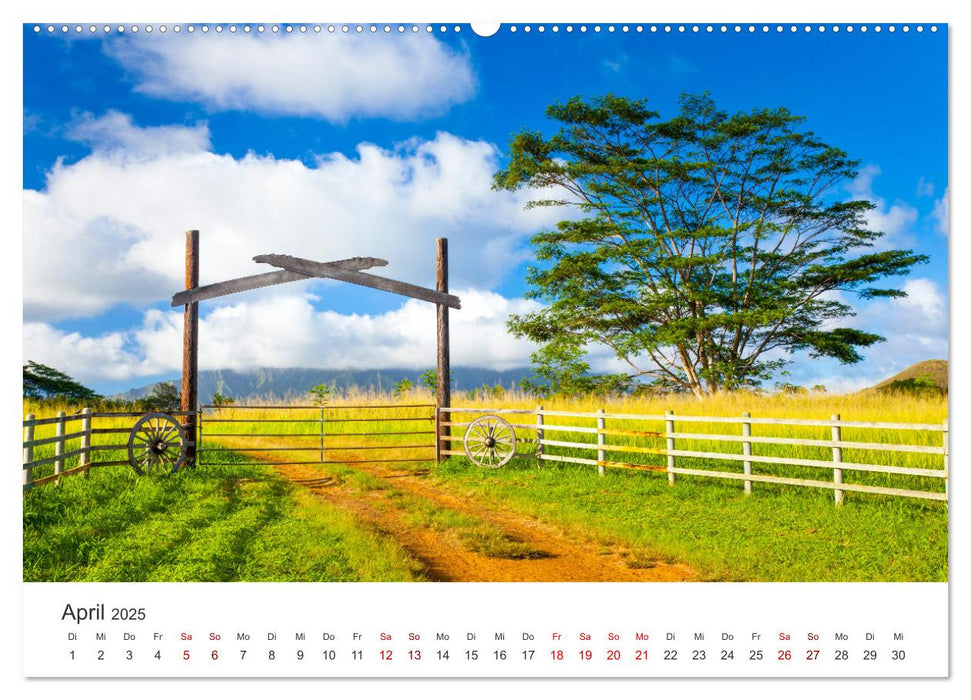 Hawaii Traumziel (CALVENDO Premium Wandkalender 2025)