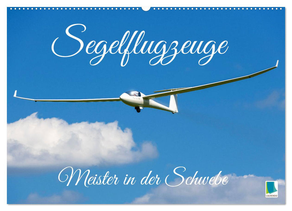 Meister in der Schwebe: Segelflugzeuge (CALVENDO Wandkalender 2025)