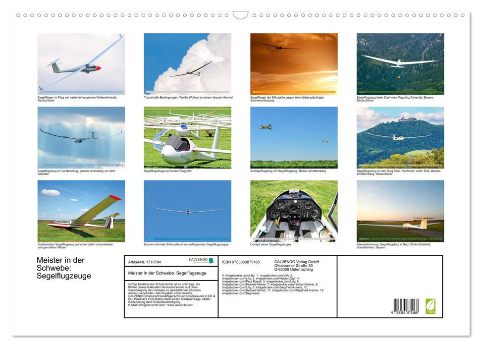 Meister in der Schwebe: Segelflugzeuge (CALVENDO Wandkalender 2025)