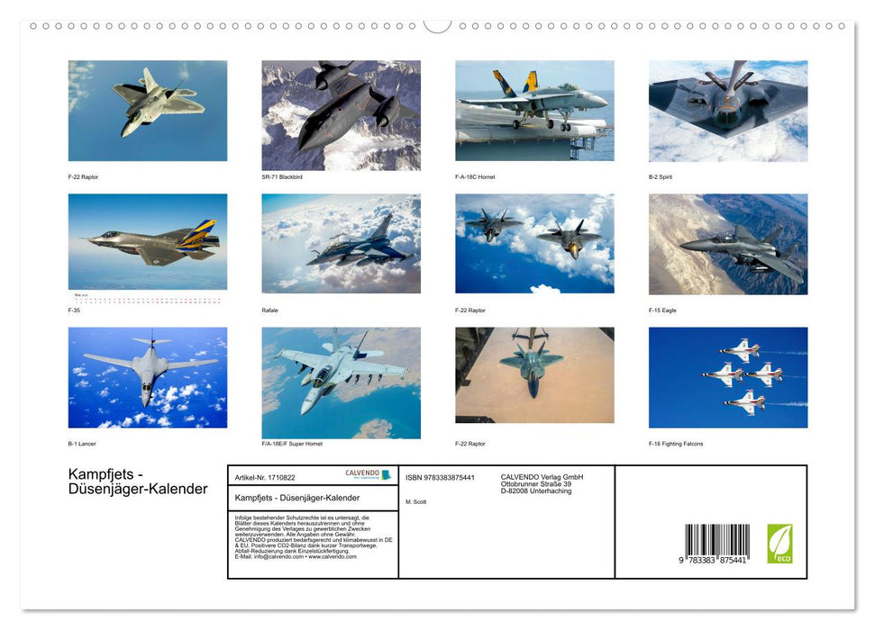 Kampfjets - Düsenjäger-Kalender (CALVENDO Premium Wandkalender 2025)