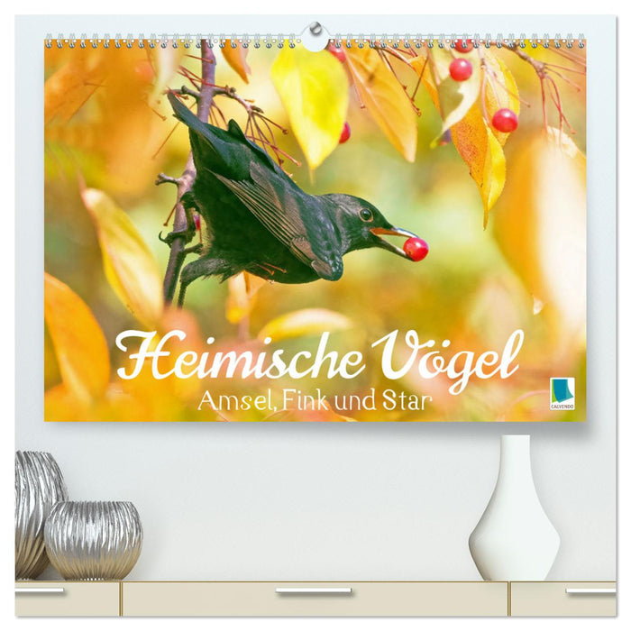 Amsel, Fink und Star: Heimische Vögel (CALVENDO Premium Wandkalender 2025)