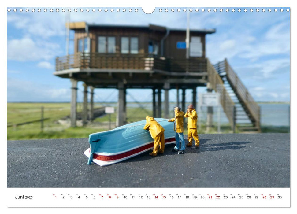 Wangerooge - kleine und große Urlaubserlebnisse (CALVENDO Wandkalender 2025)