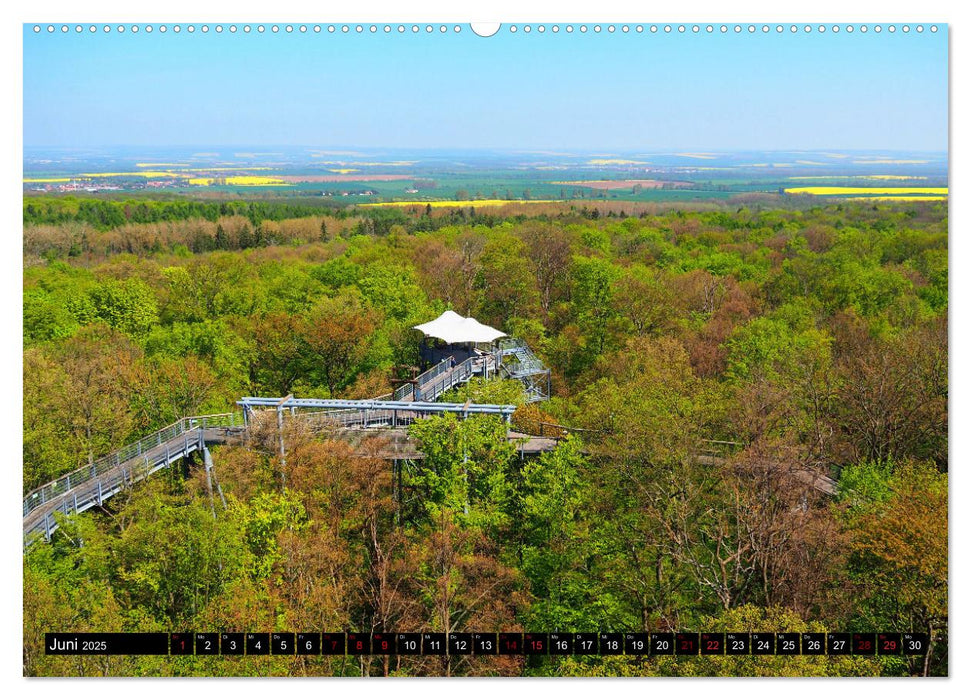 Zwischen Wartburg und Mühltal (CALVENDO Wandkalender 2025)