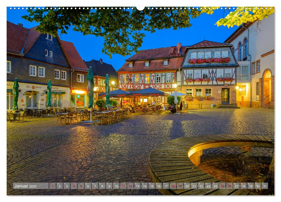 Ein Blick auf Seligenstadt (CALVENDO Premium Wandkalender 2025)