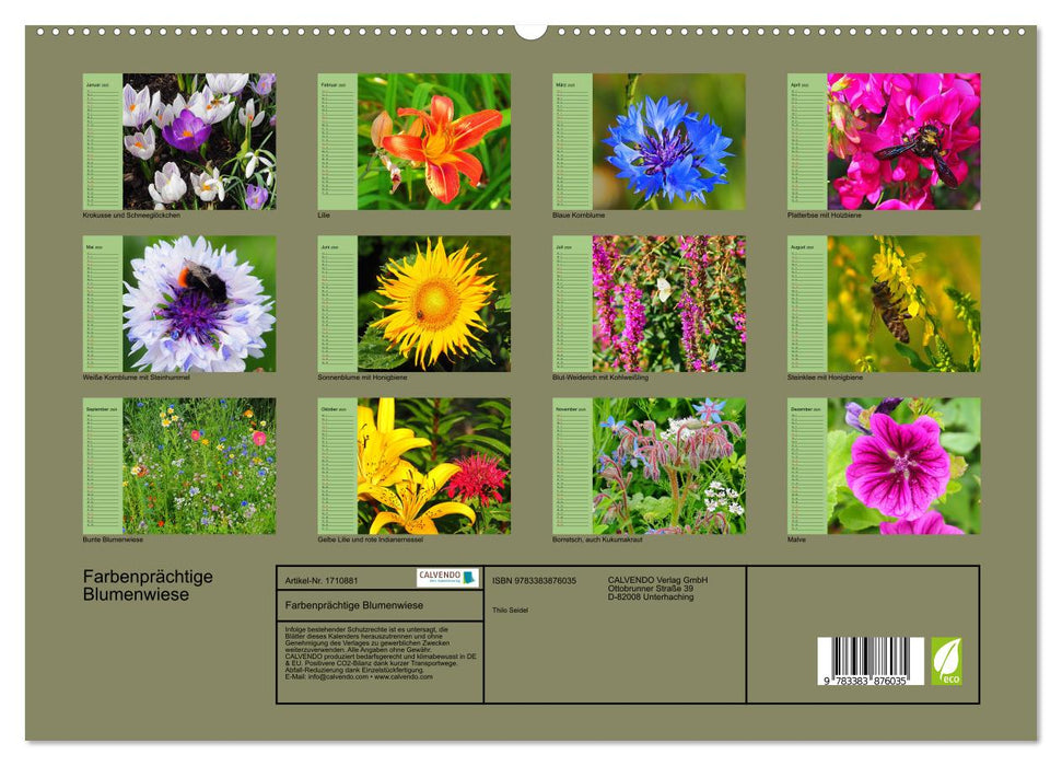 Farbenprächtige Blumenwiese (CALVENDO Premium Wandkalender 2025)