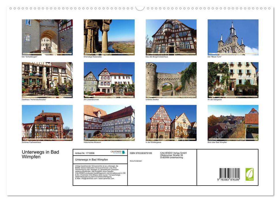 Unterwegs in Bad Wimpfen (CALVENDO Premium Wandkalender 2025)