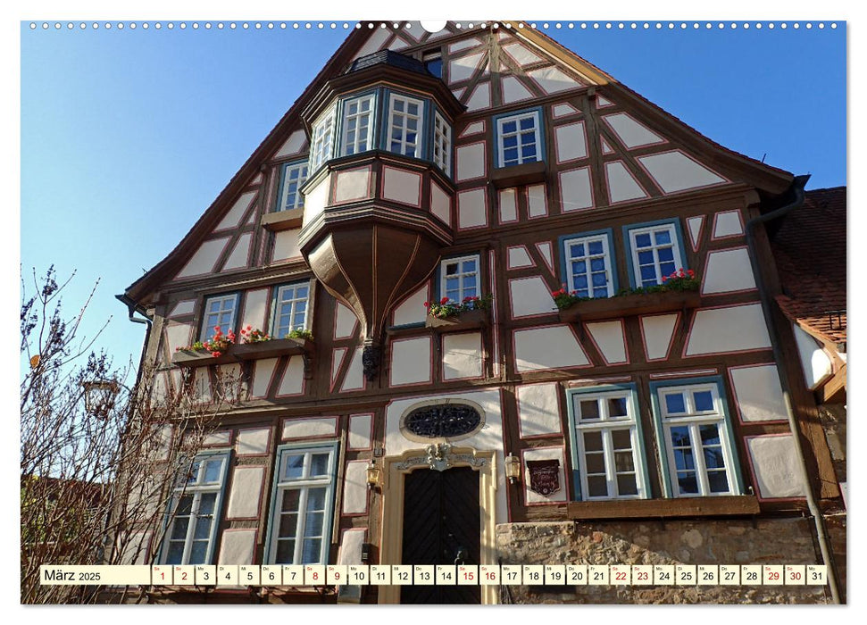 Unterwegs in Bad Wimpfen (CALVENDO Premium Wandkalender 2025)