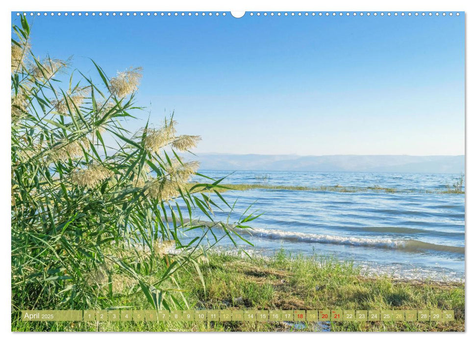 Zwischen Tradition und Moderne: Israel (CALVENDO Premium Wandkalender 2025)