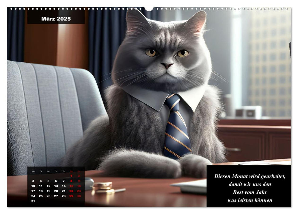 Der humoristische Katzen Kalender (CALVENDO Premium Wandkalender 2025)