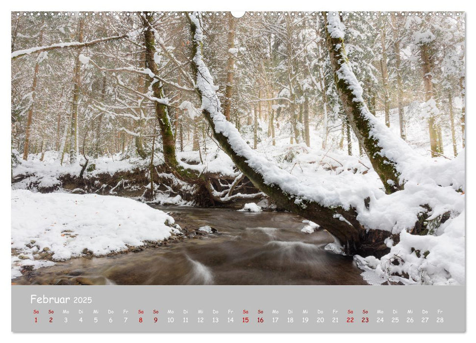 Waldbäche - Im Wandel der Jahreszeiten (CALVENDO Wandkalender 2025)