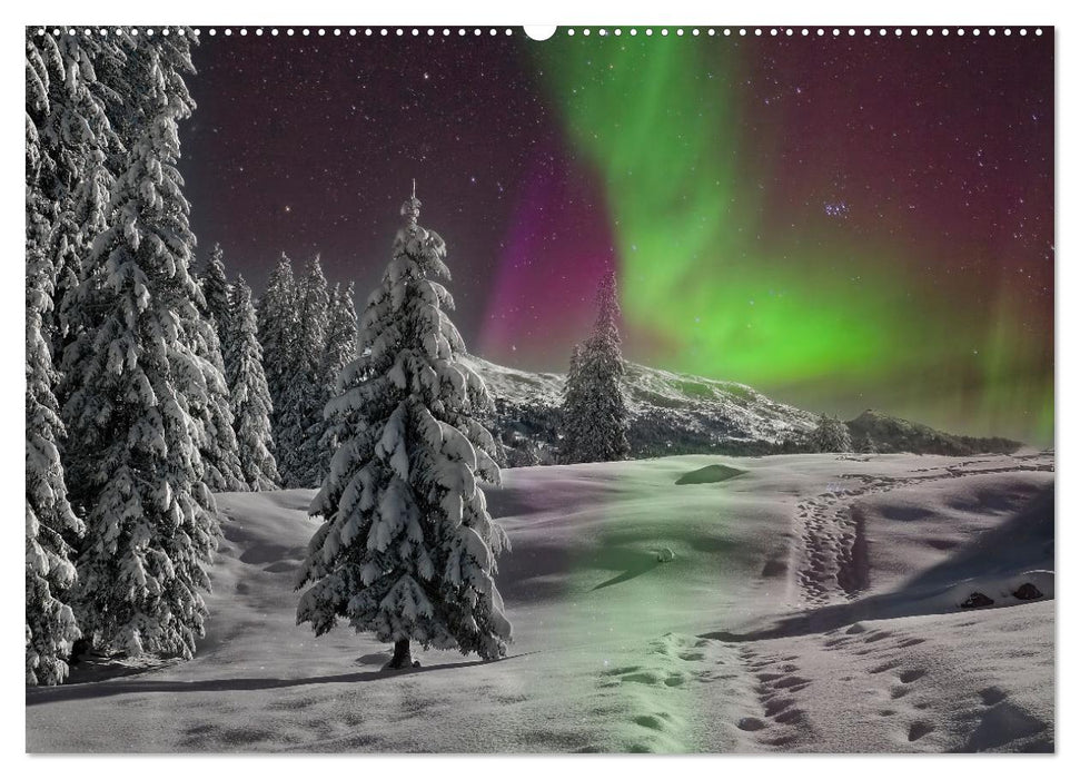 Nordlichter - Aurora Borealis, wunderschön und geheimnisvolll (CALVENDO Premium Wandkalender 2025)