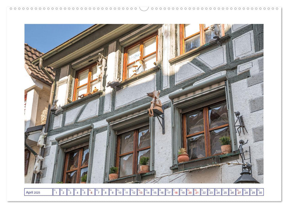 Radolfzell am schönen Bodensee (CALVENDO Premium Wandkalender 2025)