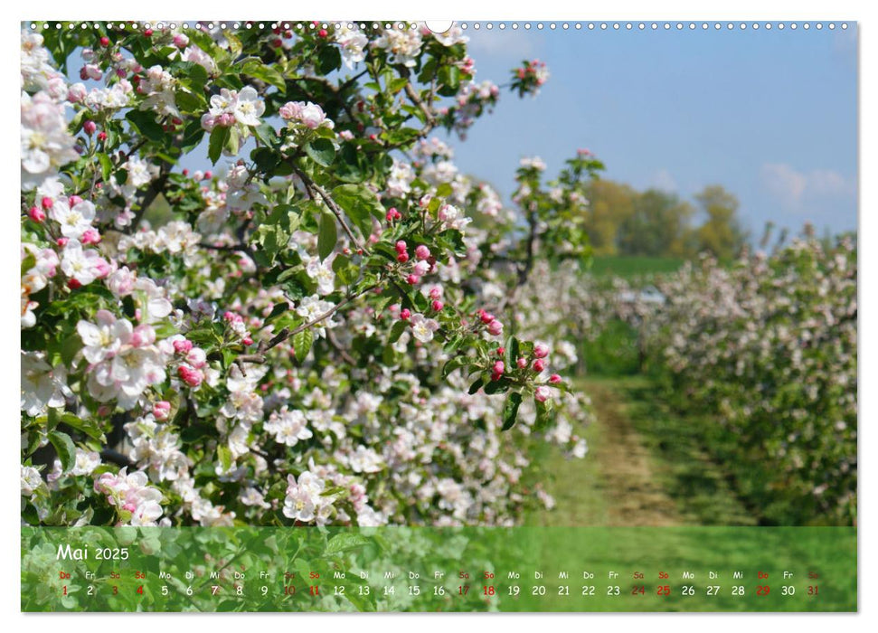 Altes Land im Wechsel der Jahreszeiten (CALVENDO Premium Wandkalender 2025)