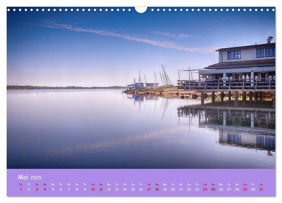 Mein Cospudener See (CALVENDO Wandkalender 2025)