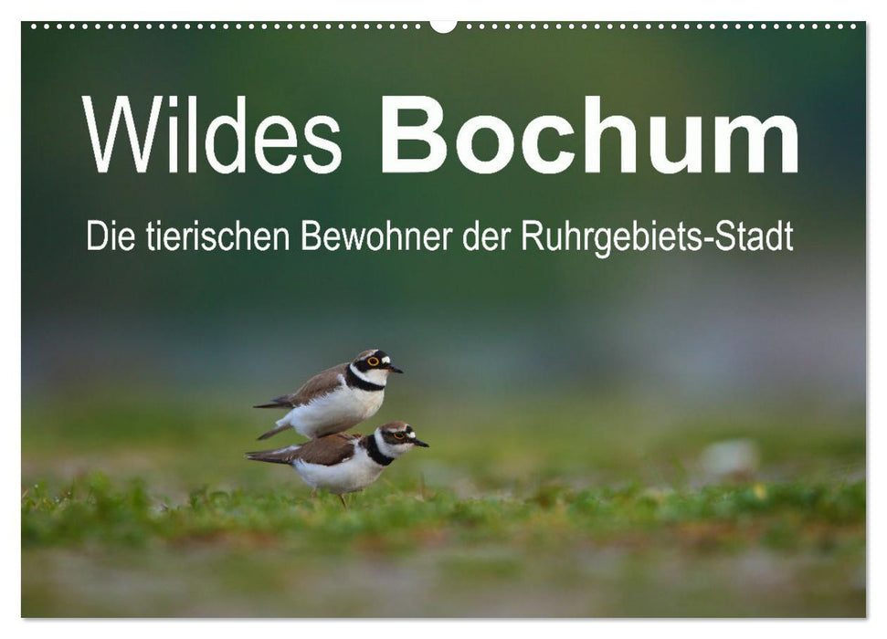 Wildes Bochum (CALVENDO Wandkalender 2025)