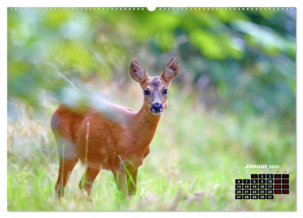 Wildes Bochum (CALVENDO Wandkalender 2025)