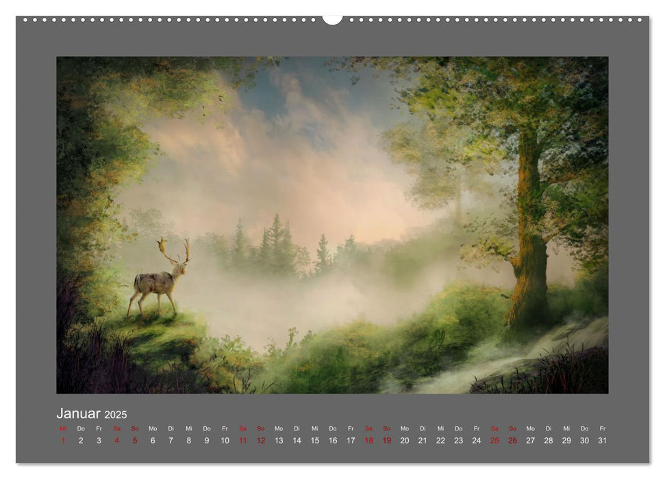 Geheimnisse des alten Waldes (CALVENDO Premium Wandkalender 2025)