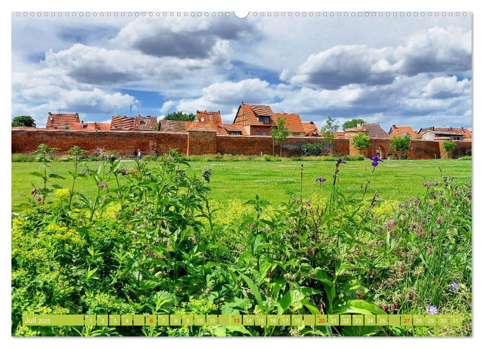 Wittstock-Dosse - Die Schlösser Freyenstein und Meyenburg (CALVENDO Premium Wandkalender 2025)