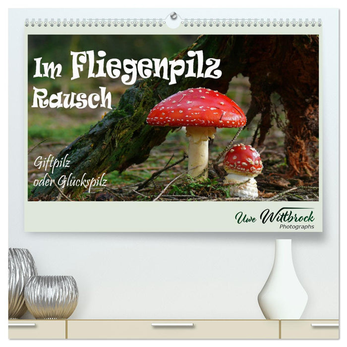 Im Fliegenpilz Rausch (CALVENDO Premium Wandkalender 2025)