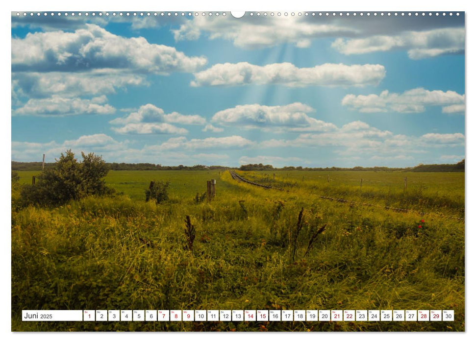 Langeoog - Perle der Natur (CALVENDO Premium Wandkalender 2025)