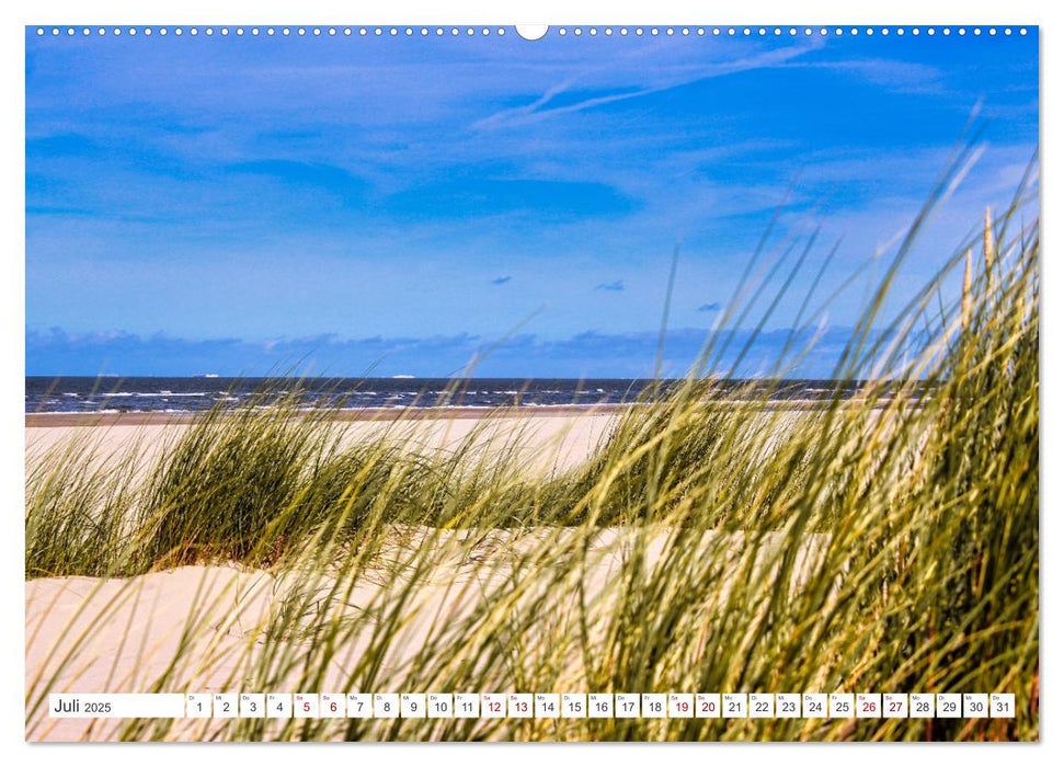 Langeoog - Perle der Natur (CALVENDO Premium Wandkalender 2025)