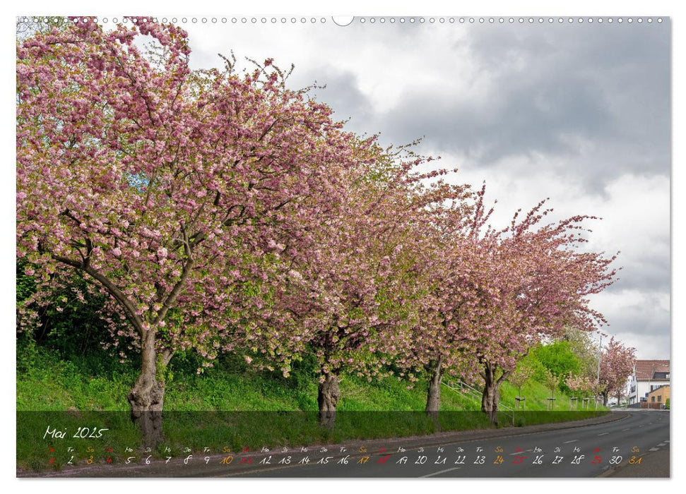 Hückelhovener Umland (CALVENDO Premium Wandkalender 2025)