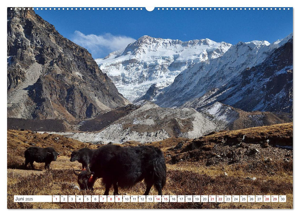 Trekking zum Kangchendzönga (CALVENDO Premium Wandkalender 2025)