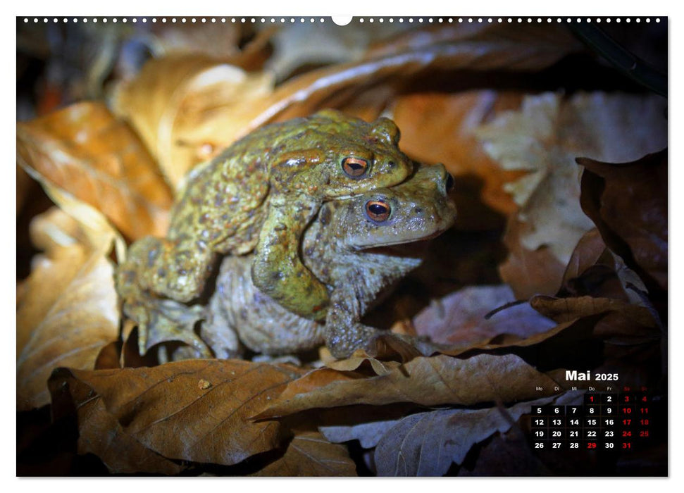 Wildes Bochum (CALVENDO Premium Wandkalender 2025)