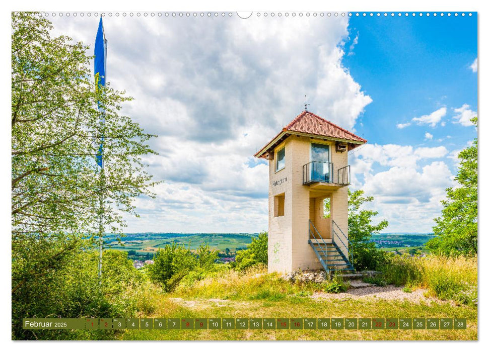 Weinberg-Architektur in Rheinhessen (CALVENDO Premium Wandkalender 2025)