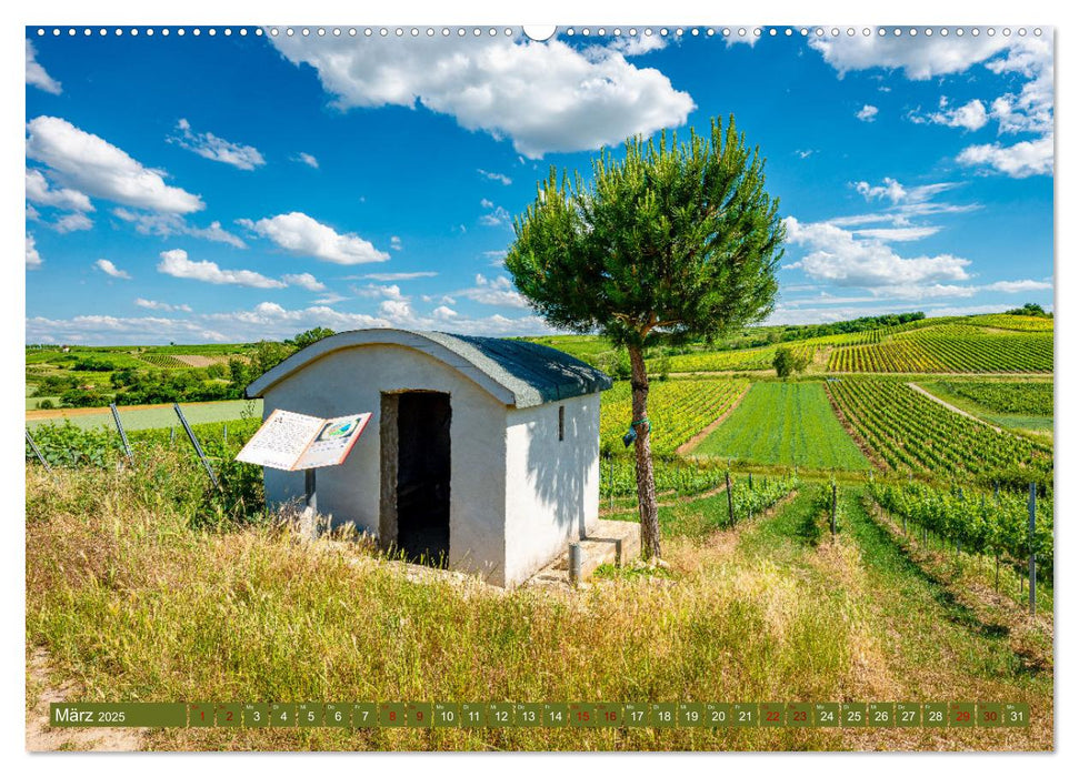 Weinberg-Architektur in Rheinhessen (CALVENDO Premium Wandkalender 2025)