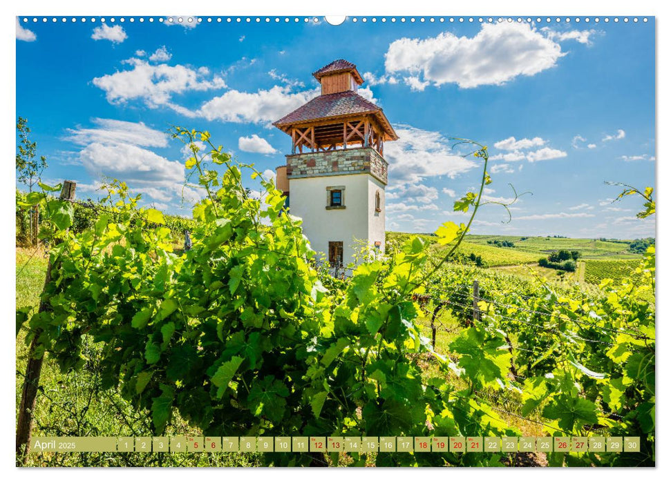 Weinberg-Architektur in Rheinhessen (CALVENDO Premium Wandkalender 2025)