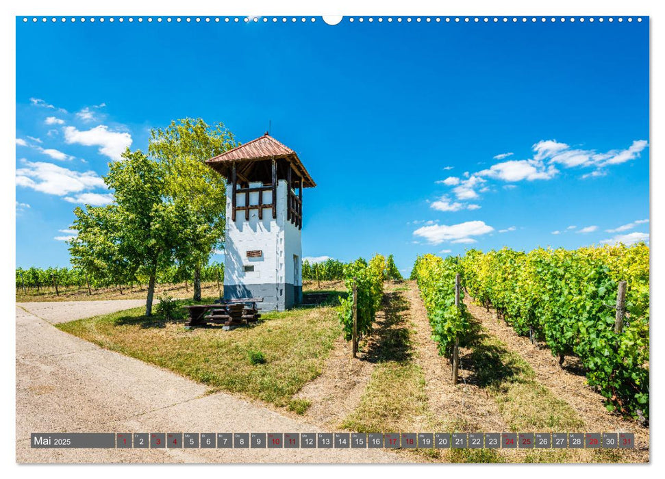 Weinberg-Architektur in Rheinhessen (CALVENDO Premium Wandkalender 2025)