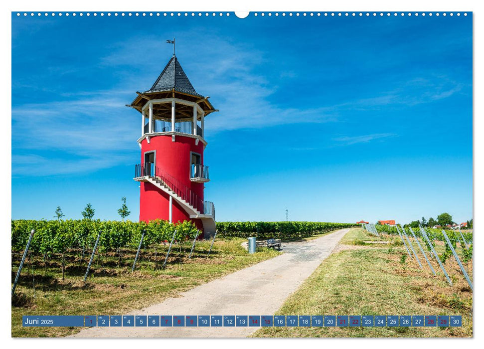 Weinberg-Architektur in Rheinhessen (CALVENDO Premium Wandkalender 2025)