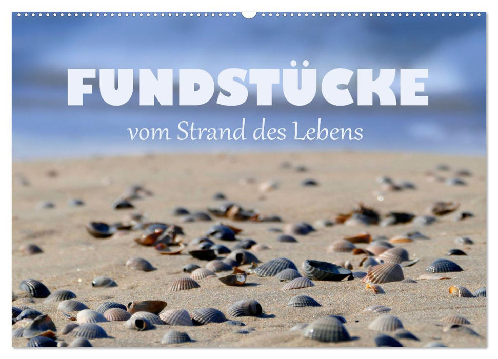 Fundstücke vom Strand des Lebens (CALVENDO Wandkalender 2025)