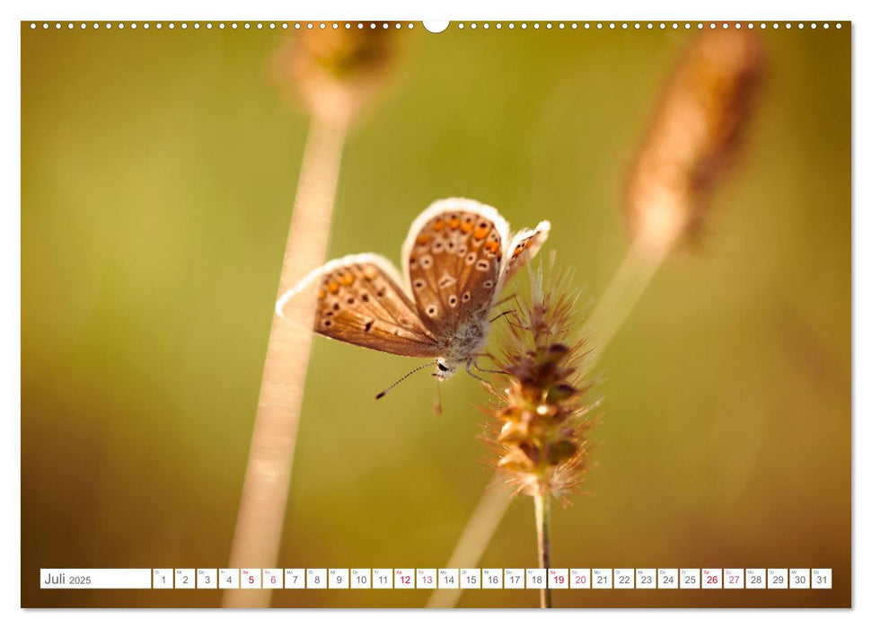 In der Natur unterwegs (CALVENDO Premium Wandkalender 2025)