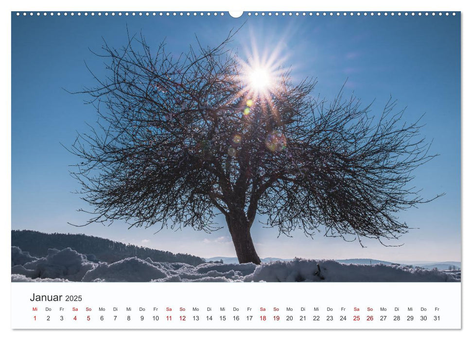 Faszination Natur Unterwegs in Südhessen (CALVENDO Premium Wandkalender 2025)