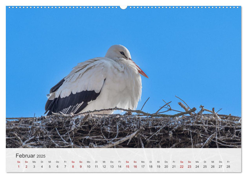 Faszination Natur Unterwegs in Südhessen (CALVENDO Premium Wandkalender 2025)