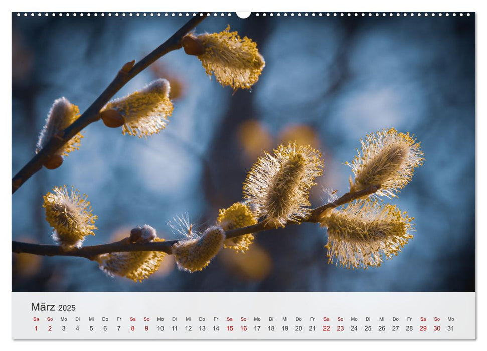 Faszination Natur Unterwegs in Südhessen (CALVENDO Premium Wandkalender 2025)