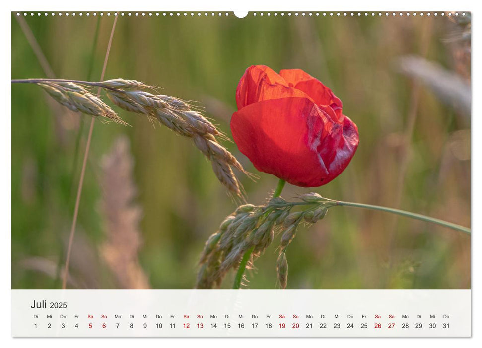 Faszination Natur Unterwegs in Südhessen (CALVENDO Premium Wandkalender 2025)