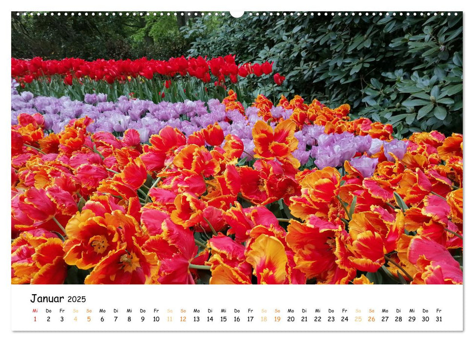 Auf Tour im Land der Tulpen (CALVENDO Premium Wandkalender 2025)