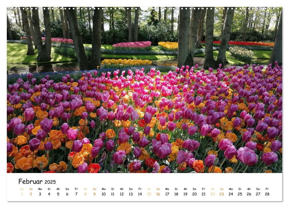 Auf Tour im Land der Tulpen (CALVENDO Premium Wandkalender 2025)