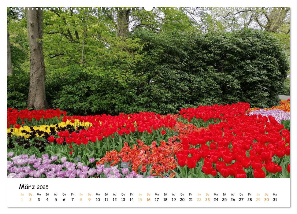 Auf Tour im Land der Tulpen (CALVENDO Premium Wandkalender 2025)