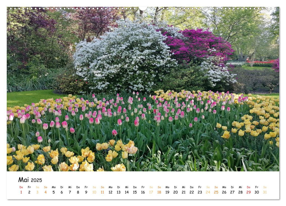 Auf Tour im Land der Tulpen (CALVENDO Premium Wandkalender 2025)